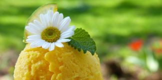 Čim se osvěžit v parních dnech – zmrzliny